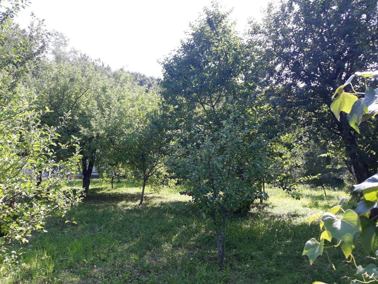 Котедж "Лісовий Затишок" Glubokoye Zewnętrze zdjęcie